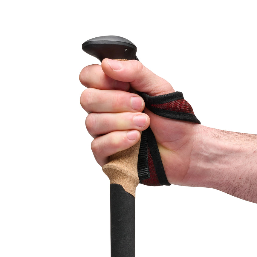 Black DiamondBlack Diamond Pursuit Carbon Z PolesOutdoor Action