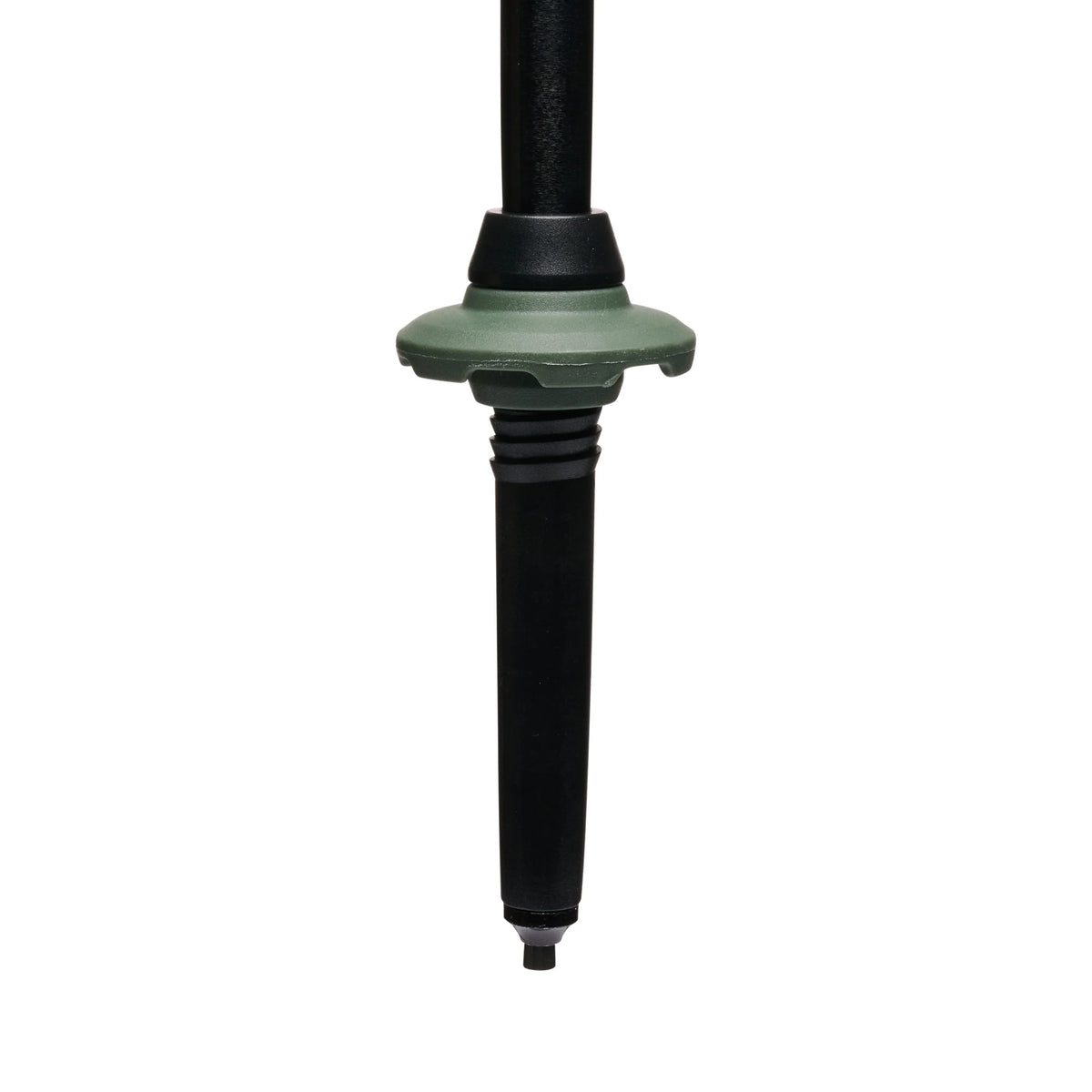 Black DiamondBlack Diamond Trail Trekking PolesOutdoor Action