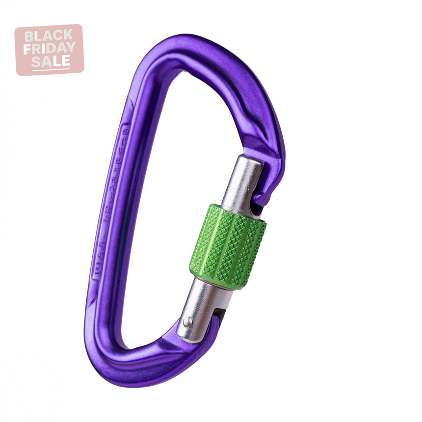 Wild Country Climbing Session Screw Gate Locking Carabiner Outdoor Action Purple/Green - Closed