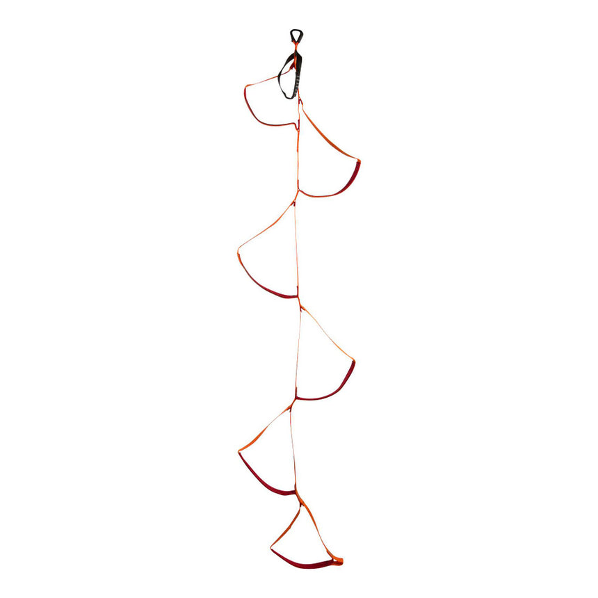 Black DiamondBlack Diamond Etrier LadderOutdoor Action