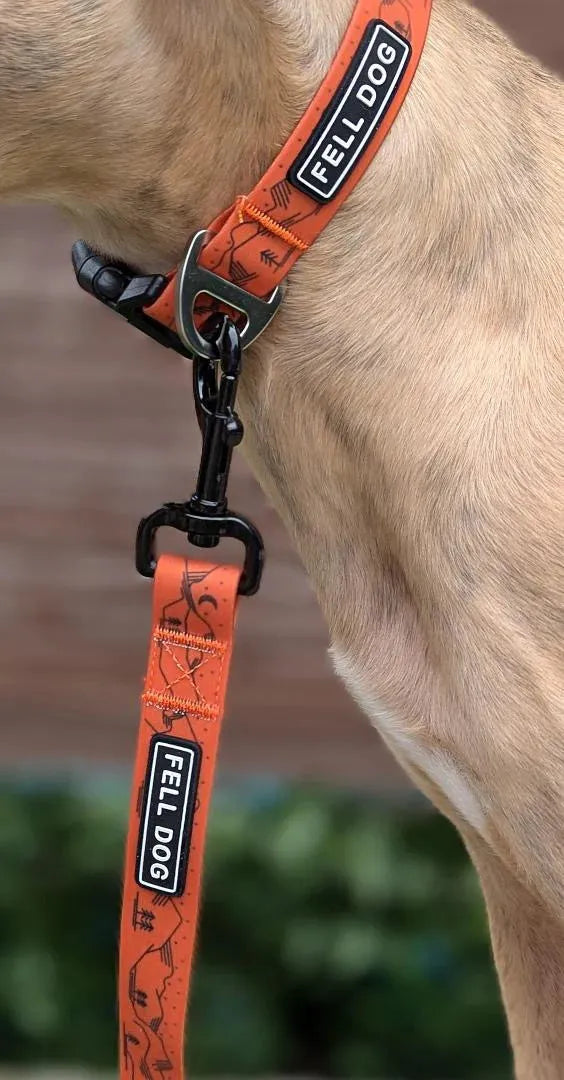 Fell DogFell Dog Drench LeadOutdoor Action