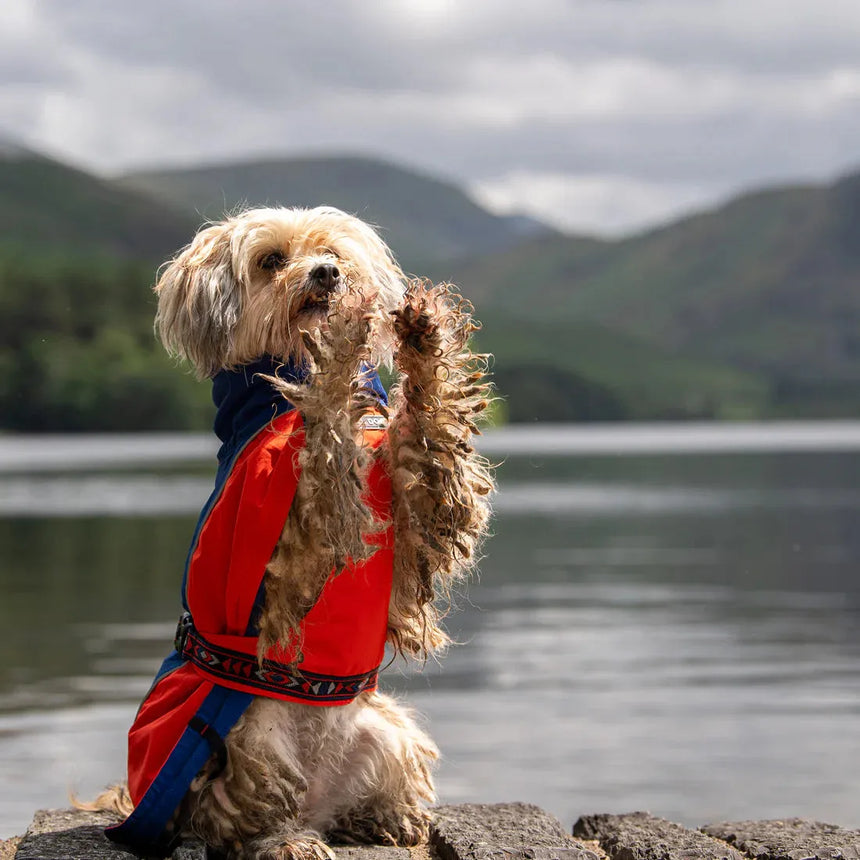 Fell DogFell Dog Drench Waterproof JacketOutdoor Action