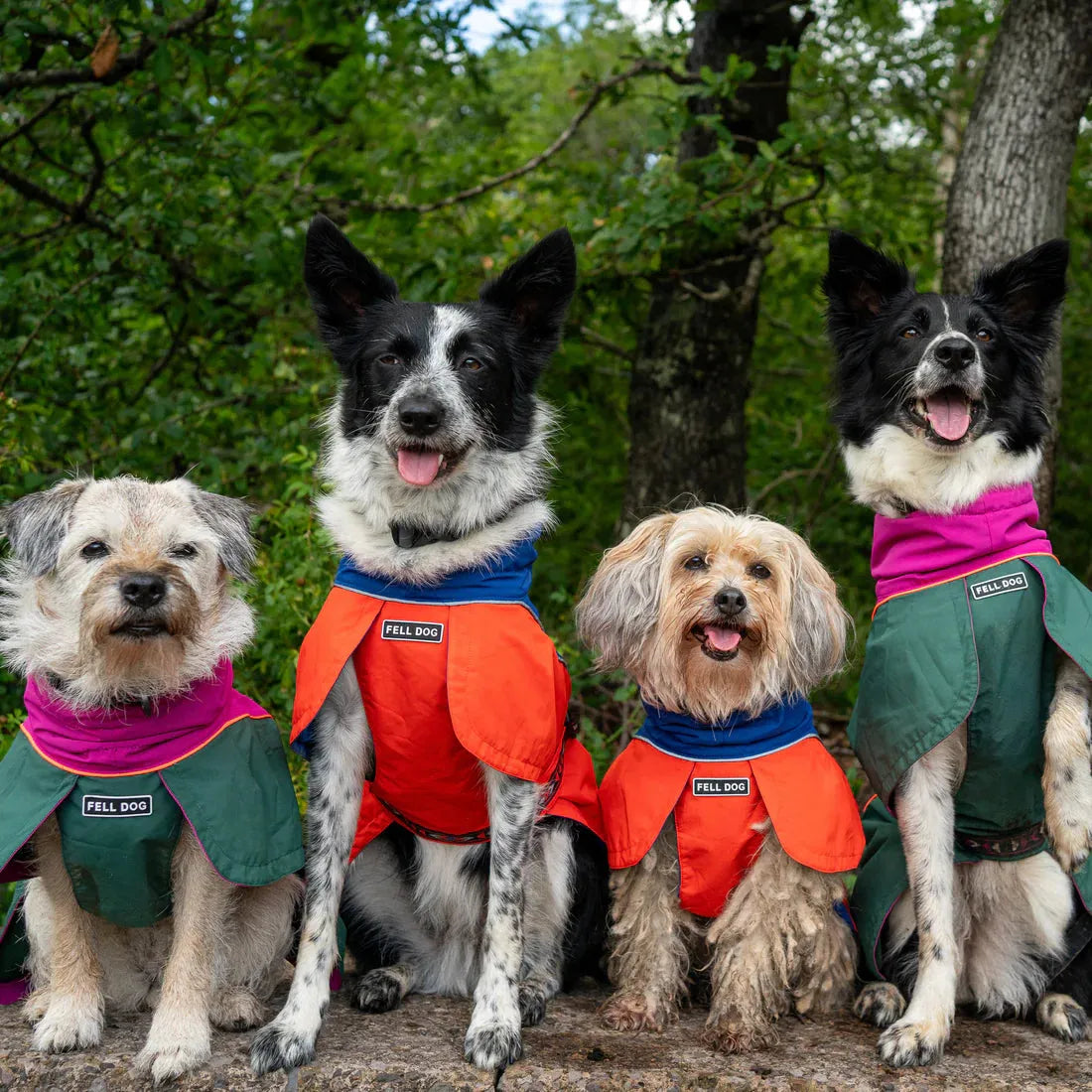 Fell DogFell Dog Drench Waterproof JacketOutdoor Action
