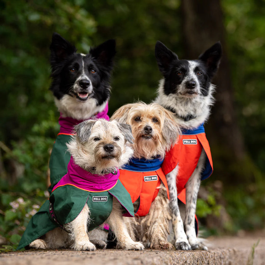 Fell DogFell Dog Drench Waterproof JacketOutdoor Action