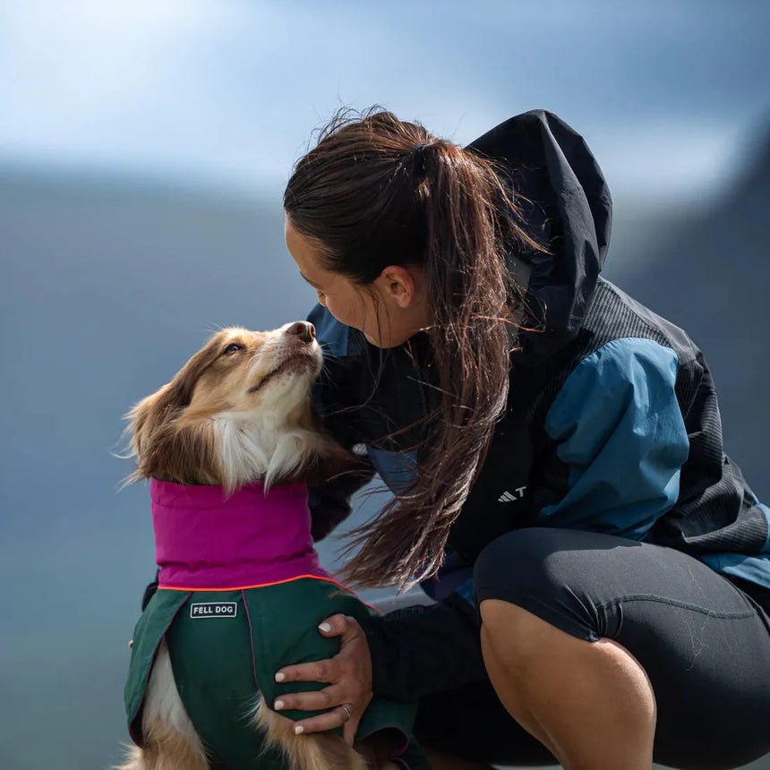 Fell DogFell Dog Drench Waterproof JacketOutdoor Action