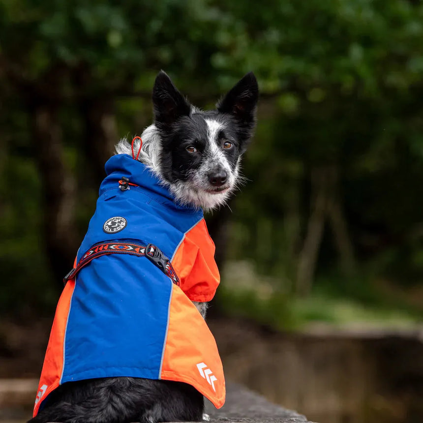 Fell DogFell Dog Drench Waterproof JacketOutdoor Action