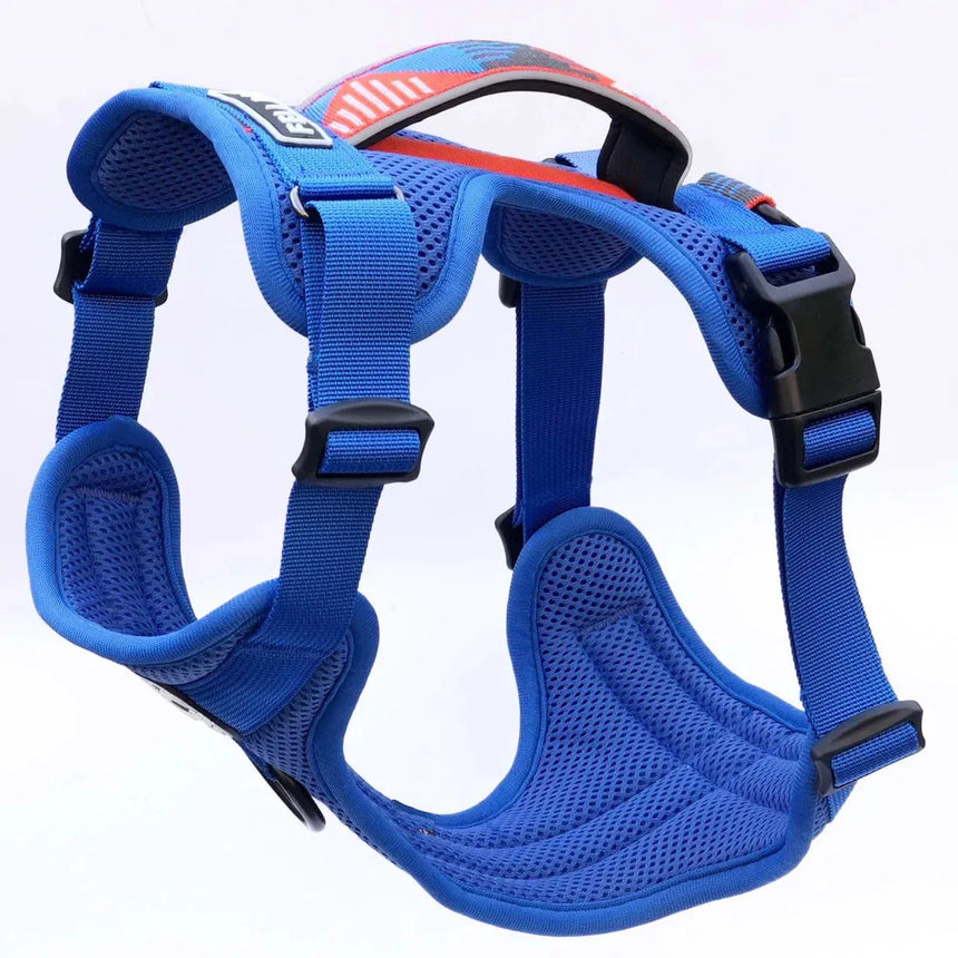 Fell DogFell Dog Helvellyn HarnessOutdoor Action