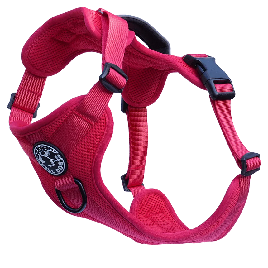 Fell DogFell Dog Helvellyn HarnessOutdoor Action