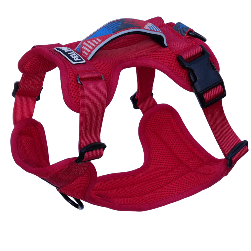 Fell DogFell Dog Helvellyn HarnessOutdoor Action