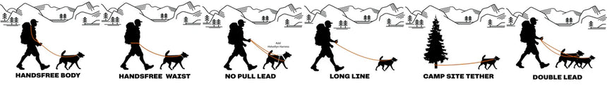 Fell DogFell Dog Langdale Multifunctional LeadOutdoor Action
