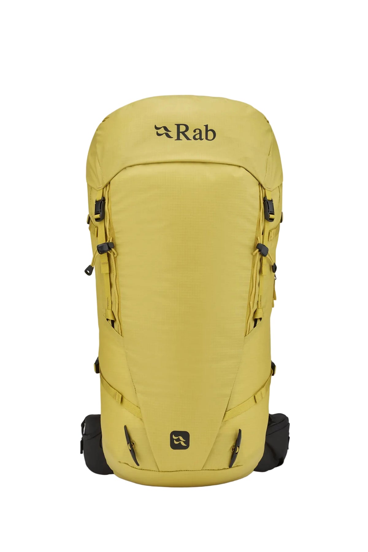 Rab Ascendor 45L Mountain Pack in Dark Pollen - Back View