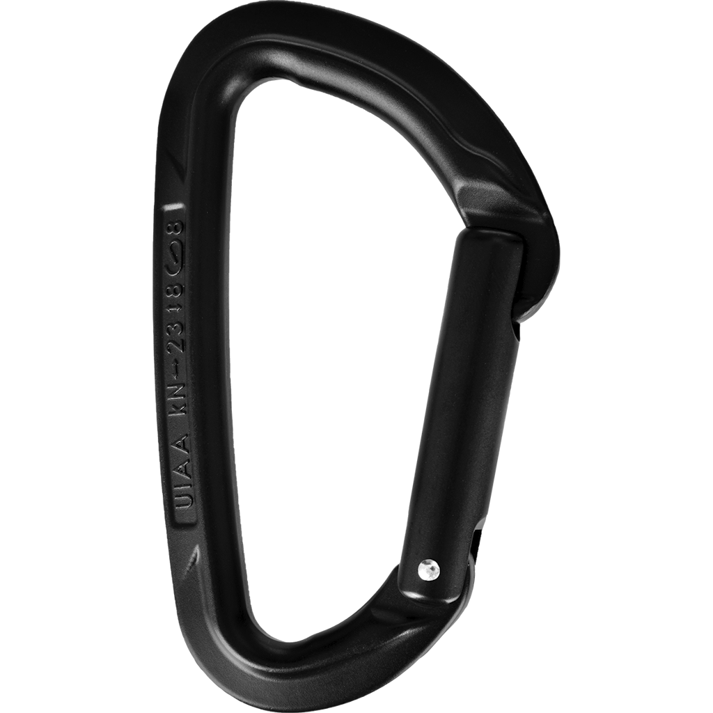Wild Country Climbing Session Straight Gate Carabiner - Black