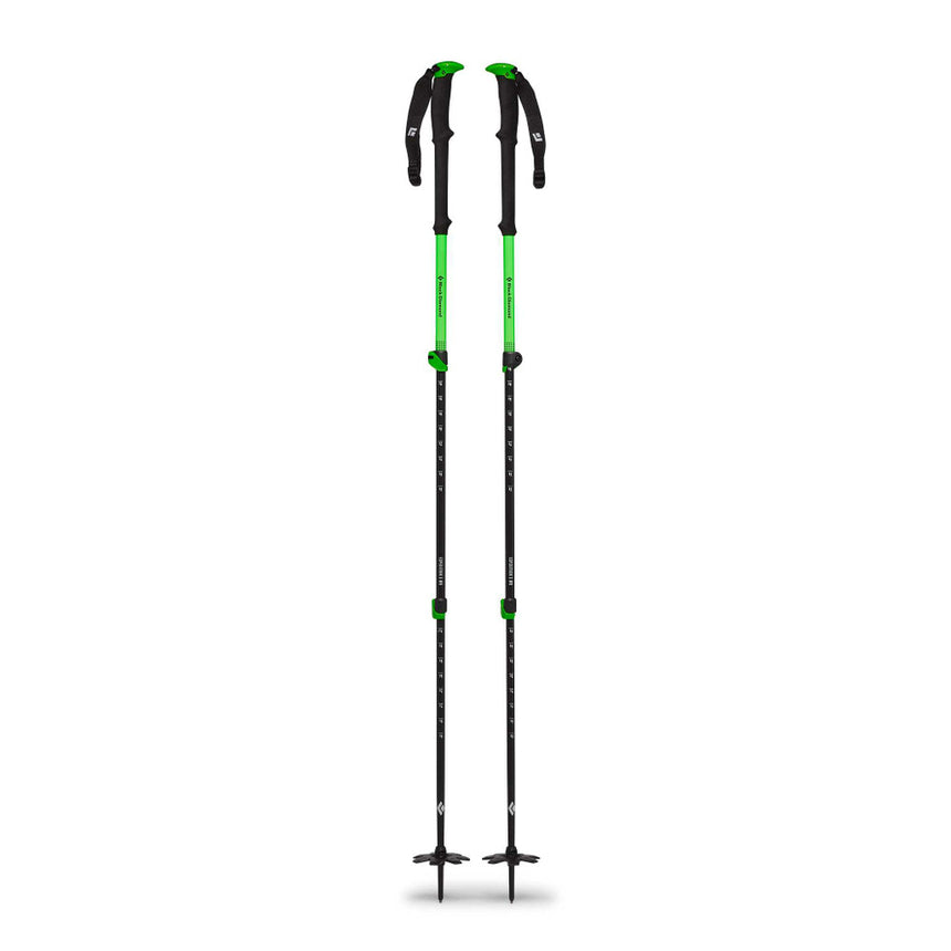 Black DiamondBlack Diamond Expedition WR 3 Ski PolesOutdoor Action