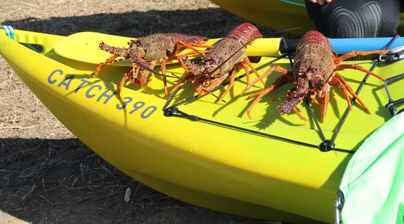 Mission CATCH 390 kayak, fishing deck carrying a catch