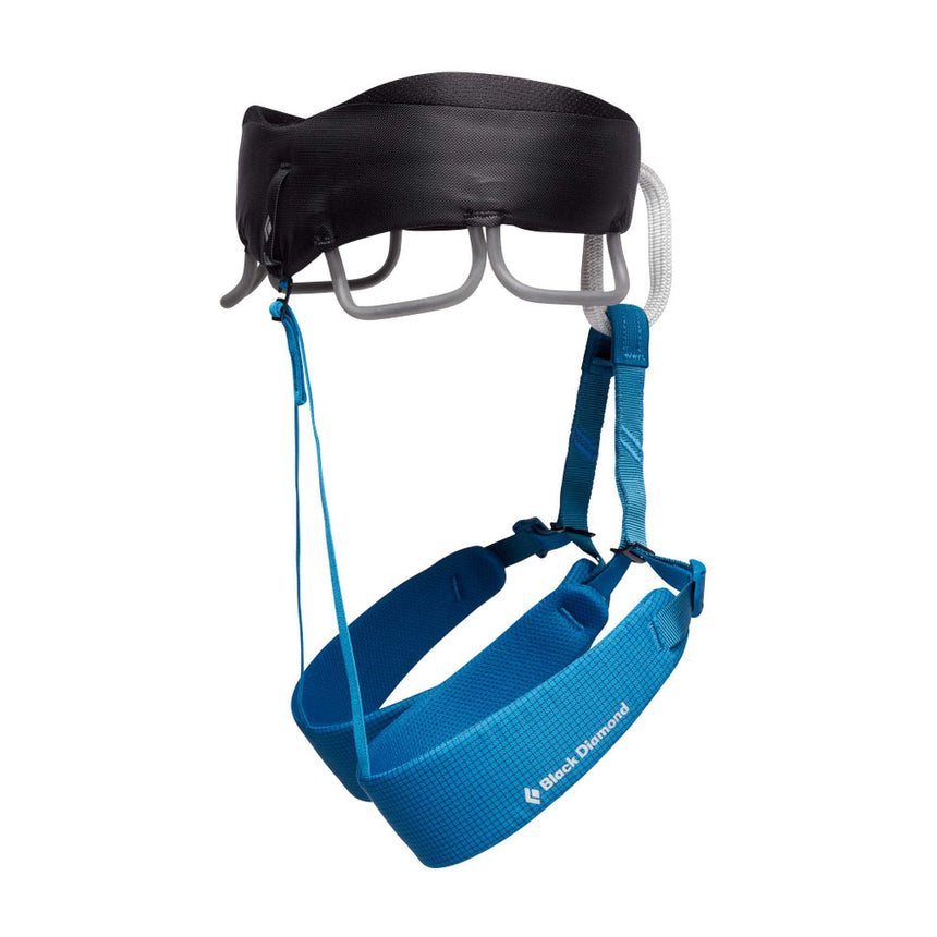 Black DiamondBlack Diamond Men's Momentum HarnessOutdoor Action