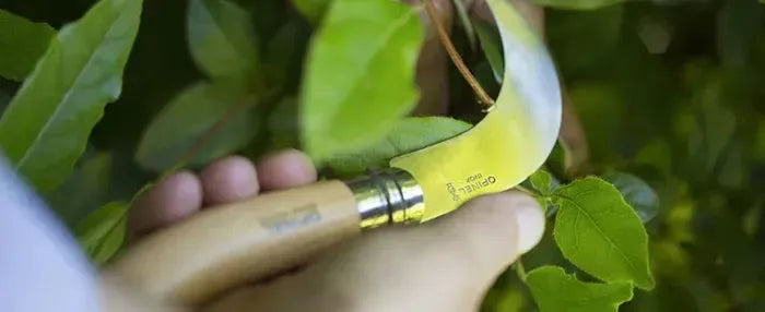 Opinel Pruning 113110 / 113140