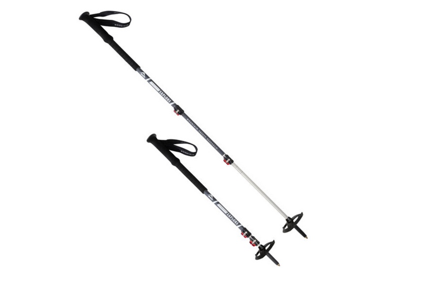 MSRMSR DynaLock Explore Backcountry PolesOutdoor Action