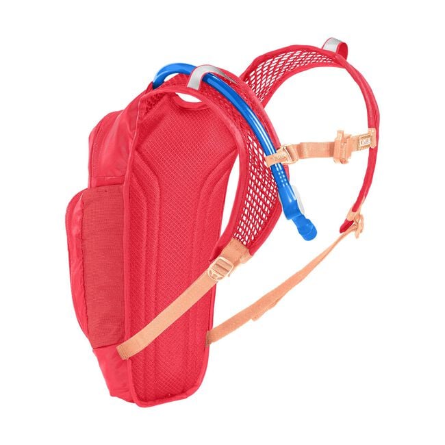 CamelbakCamelBak Kids' Mini M.U.L.E.® 50oz Hydration Pack with Crux® 1.5L ReservoirOutdoor Action
