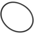 MSR MiniWorks EX filter housing O-ring