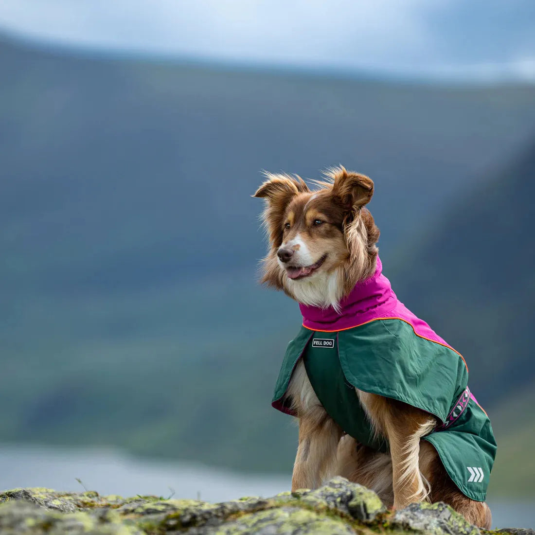 Fell DogFell Dog Drench Waterproof JacketOutdoor Action
