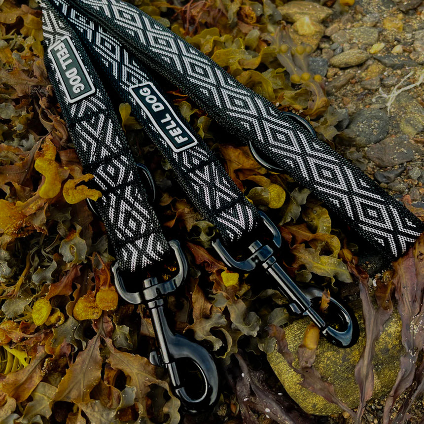 Fell DogFell Dog Langdale Multifunctional LeadOutdoor Action