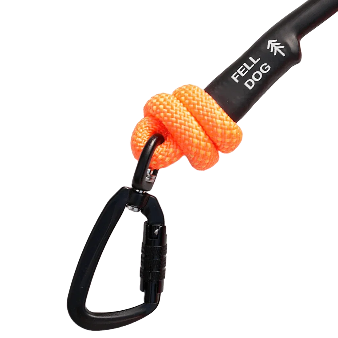 Fell DogFell Dog Scafell Rope LeadOutdoor Action