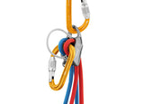 PetzlPetzl Attache Screw-LockOutdoor Action