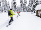 MSR DynaLock™ Trail Backcountry Poles Outdoor Action- product in use (2)