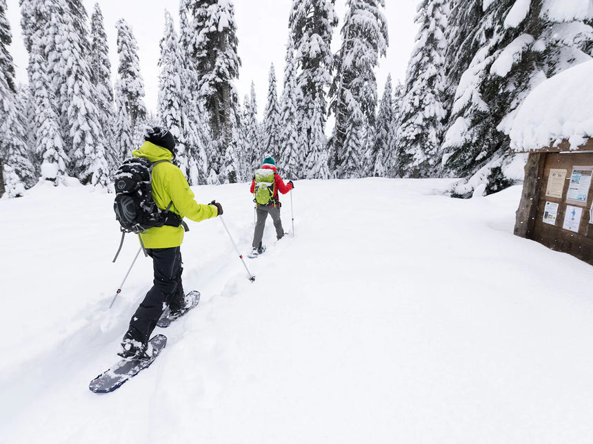 MSR DynaLock™ Trail Backcountry Poles Outdoor Action- product in use (2)