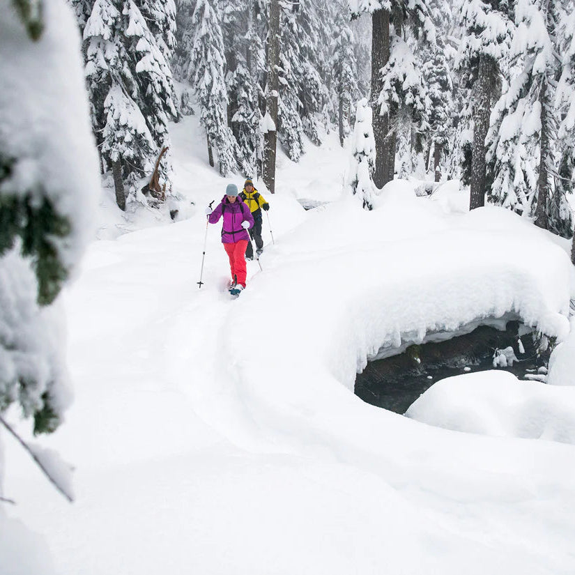 MSR DynaLock™ Trail Backcountry Poles Outdoor Action - In use