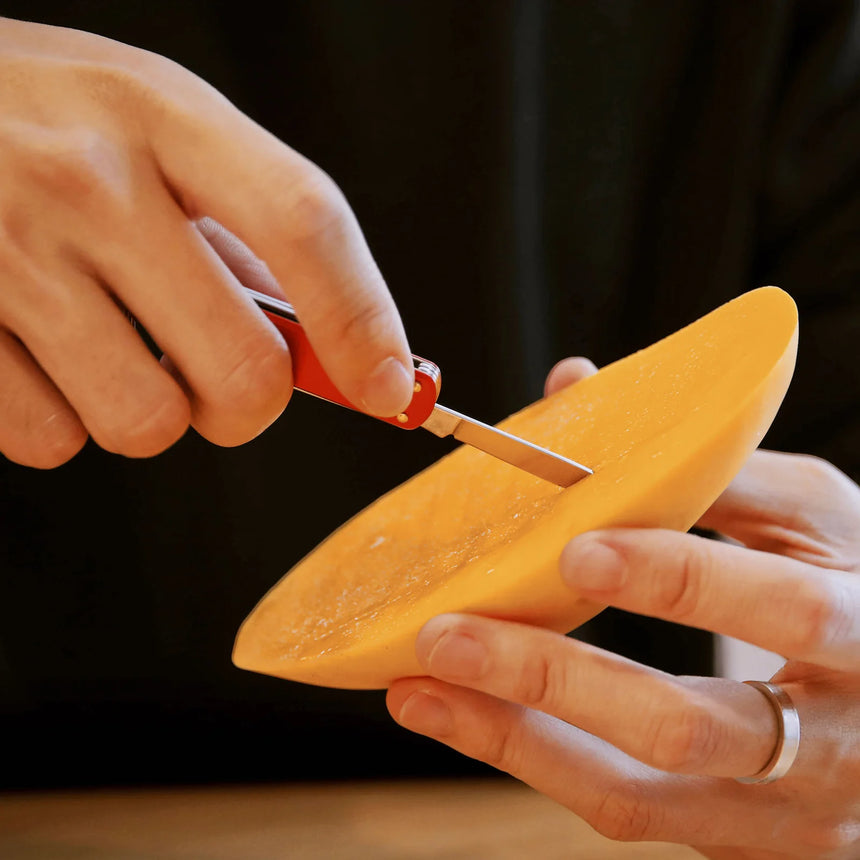 Nextool Mini Pocket Knife Hanging Hole - Convenient Attachment for Keychain or Lanyard