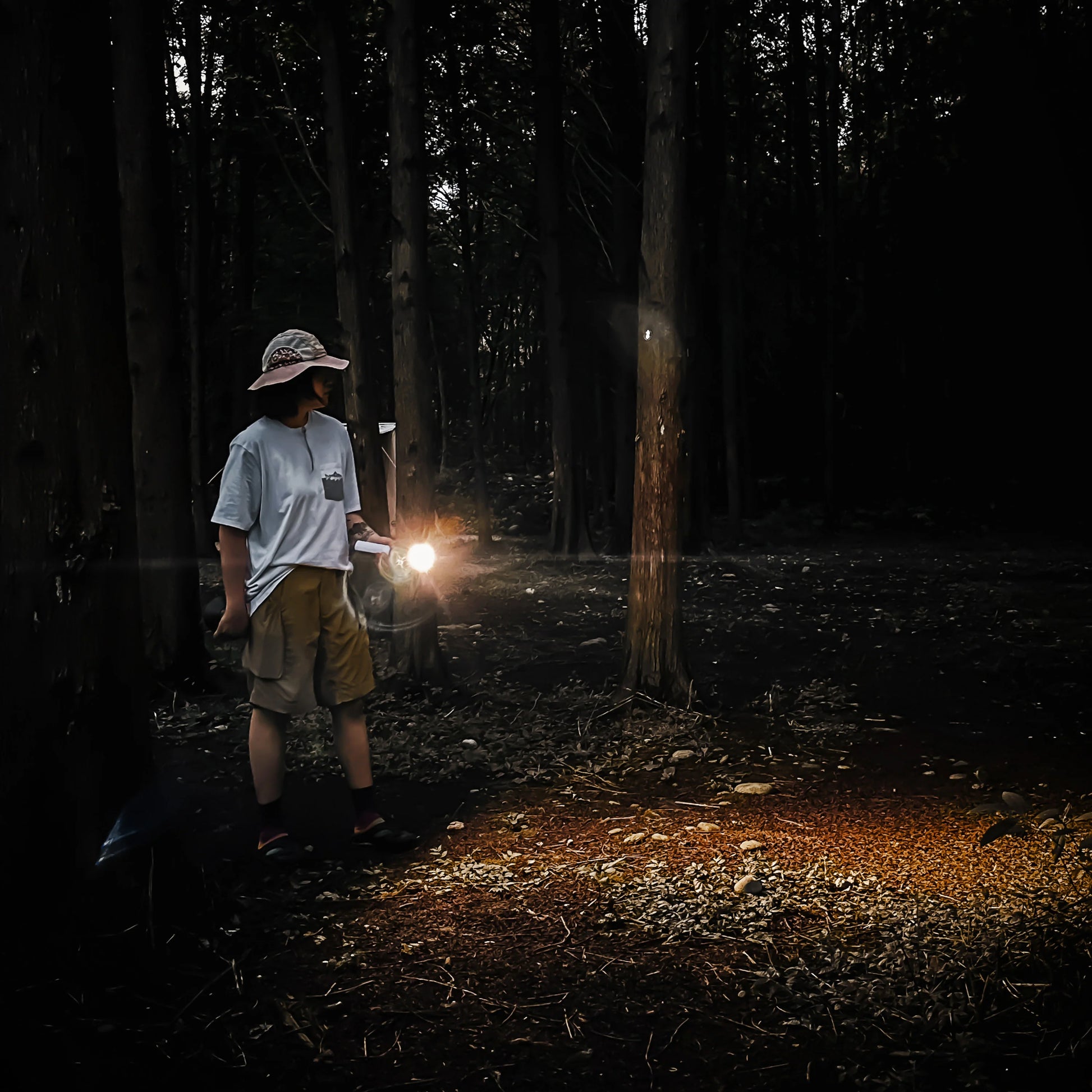 Nextool Wukong Multifunctional Lamp Compact Design - Portable 280g for Camping and Emergencies