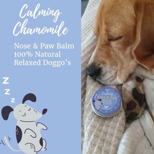 Nilaqua Pets Calming Nose & Paw Balm with Chamomile & Shea Butter