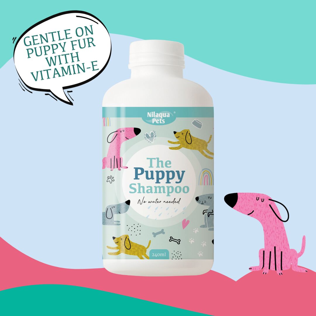 Nilaqua Pets Puppy Shampoo Outdoor Action