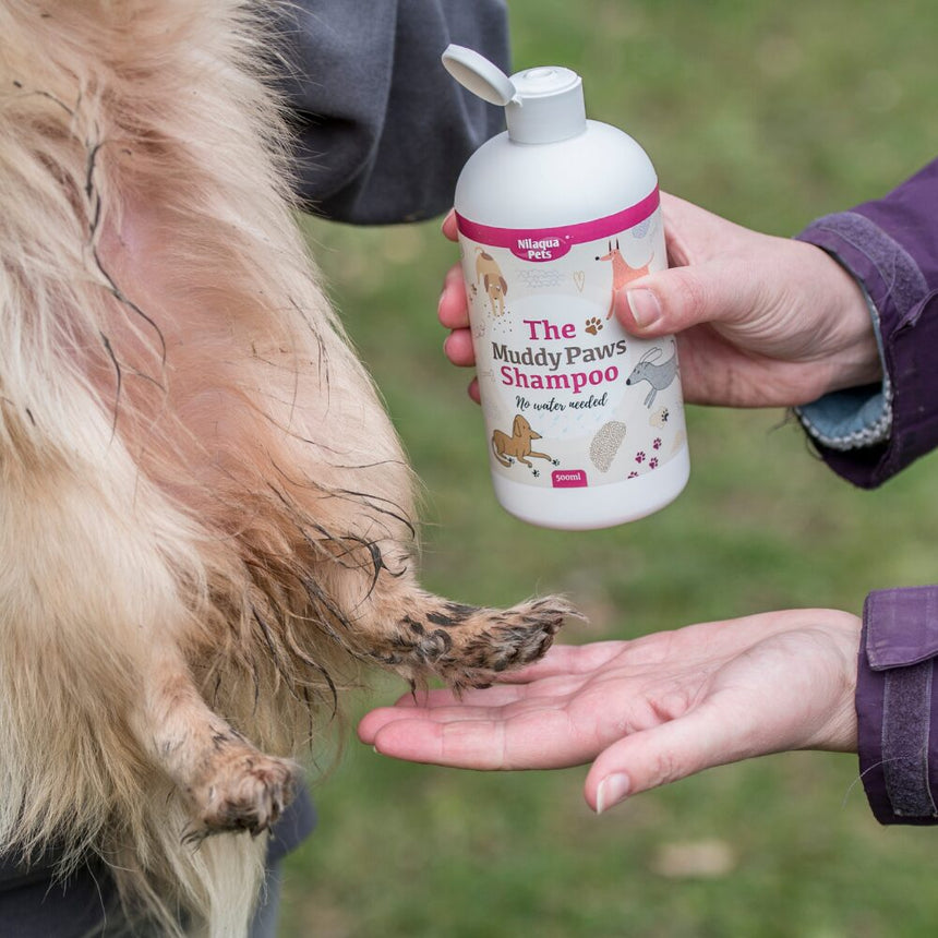 Nilaqua Pets Muddy Paws Shampoo Outdoor Action- application to a dog