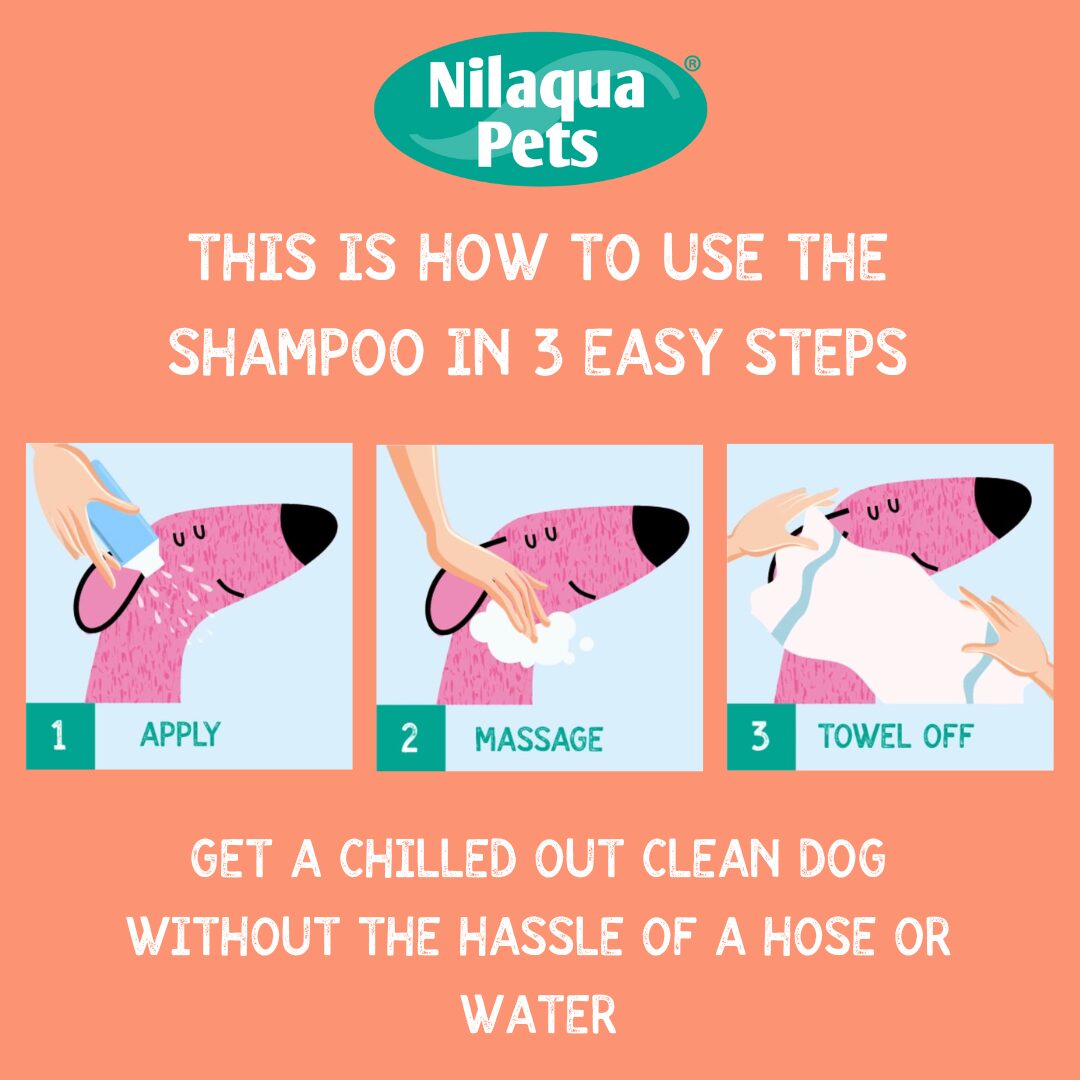 Nilaqua Pets Older Dog Shampoo