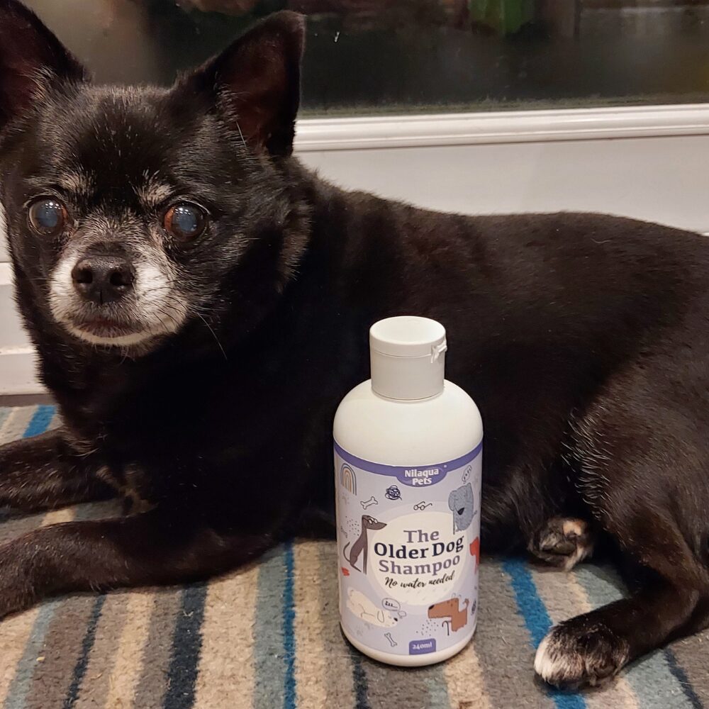 Nilaqua Pets Older Dog Shampoo
