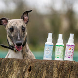 Nilaqua Pets Very Berry Dog Cologne Outdoor Action 100ml- Dog with the product