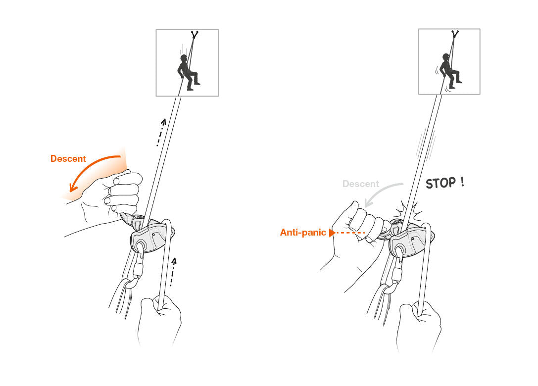 PetzlPetzl Grigri® + Belay DeviceOutdoor Action