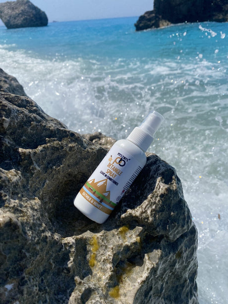 Pits & Bits® Detangle Spray – Oatmilk & Honey