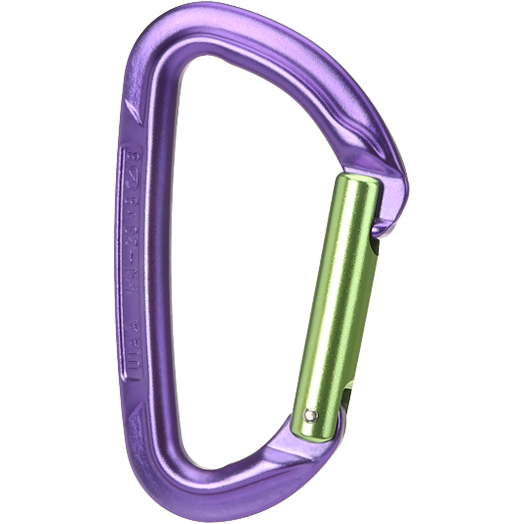 Wild Country Climbing Session Straight Gate Carabiner - Purple/Green
