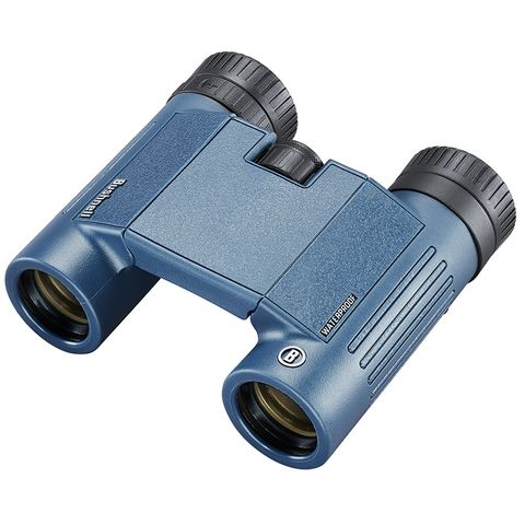 Bushnell H2O 10x25 Waterproof Binoculars - case and accessories