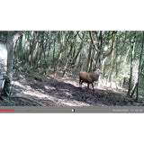 Tasco 12MP Low Glow Trail Camera - mounted