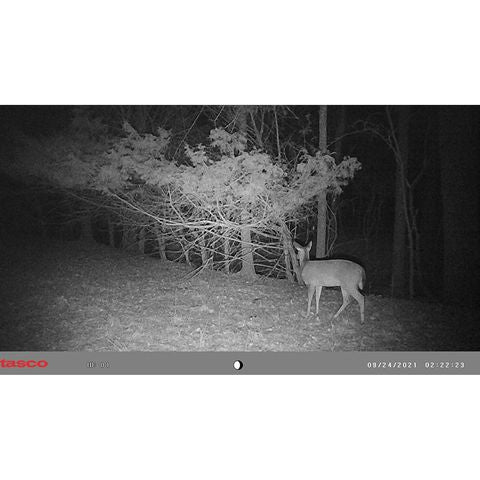 Tasco 12MP Low Glow Trail Camera - package