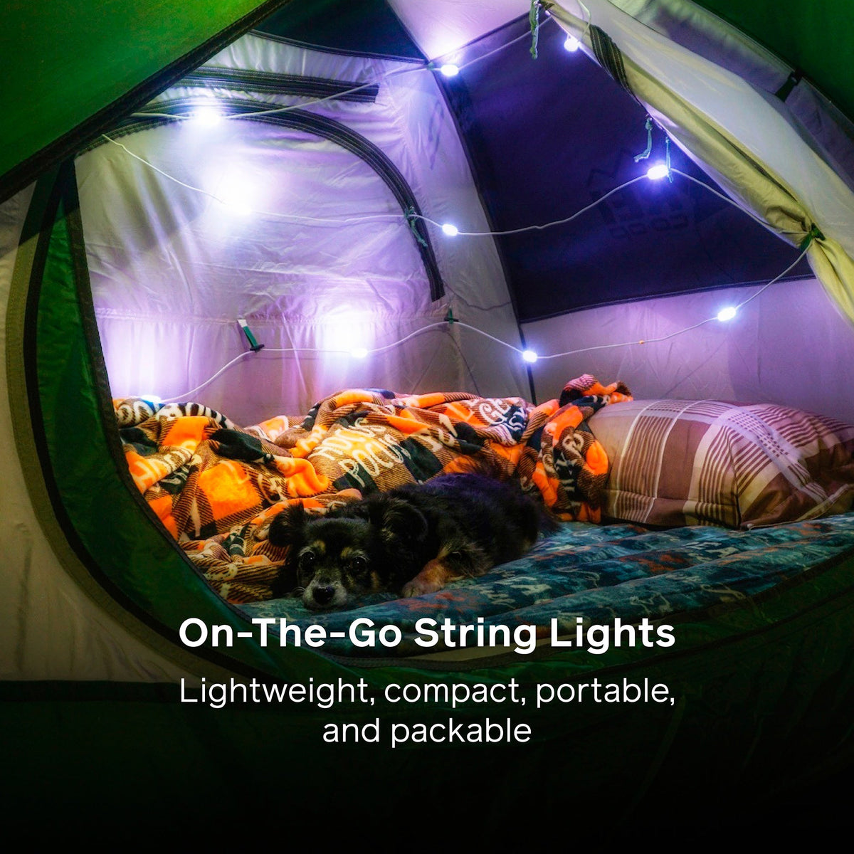 BioLite Solar String 18 ft Colour Lights official product image 7