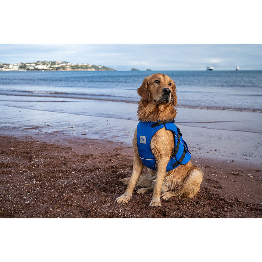 Red Paddle Dog PFD - Dog Wearing Blue PFD Sitting on Beach
