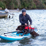 Red Paddle Dog PFD - Dog with PDF on Being Lifted Onto Paddle Board
